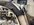 IMG_1141.jpeg