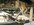 IMG_1533.jpeg