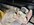 IMG_1549.jpeg