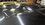 IMG_0720.jpeg