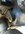 IMG_0428.jpeg