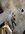 IMG_3512.jpeg