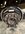 IMG_2186.jpeg