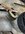 IMG_3517.jpeg