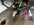 IMG_3518.jpeg