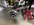 IMG_3521.jpeg