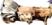 1739357657902.png