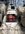 IMG_1704.jpeg