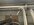 IMG_1211.jpeg