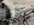 IMG_1213.jpeg