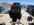 IMG_3036.jpeg