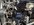 IMG_3038.jpeg