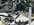 IMG_1608.jpeg