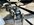 IMG_1610.jpeg