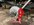 IMG_1613.jpeg