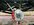 IMG_1614.jpeg