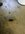 IMG_3527.jpeg