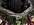 IMG_3536.jpeg