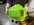 IMG_3537.jpeg