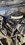 IMG_6471.jpeg