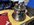 IMG_3541.jpeg