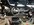 IMG_3545.jpeg