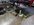 IMG_3546.jpeg