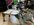 IMG_3551.jpeg