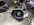 IMG_3552.jpeg