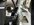 IMG_3554.jpeg