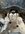 IMG_3056.jpeg