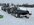 IMG_0579.jpeg