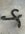 IMG_1496.jpeg