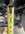 IMG_1655.jpeg