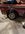 IMG_5510.jpeg