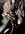 IMG_5509.jpeg