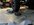 IMG_3557.jpeg IMG_3557.jpeg