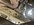 IMG_2746.jpeg