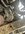 IMG_2748.jpeg
