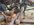 IMG_5705.jpeg