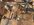 IMG_5706.jpeg