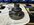 IMG_3568.jpeg