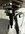 IMG_3572.jpeg