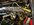 IMG_3576.jpeg