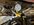 IMG_3575.jpeg