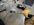 IMG_3578.jpeg