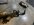 IMG_3580.jpeg