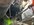 IMG_3582.jpeg
