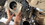 IMG_3171.jpeg
