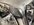 IMG_1278.jpeg